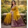 Silk Saree Model