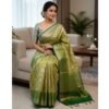 Light Green Silk Saree With Blouse for Women Model 2 Lifestyle